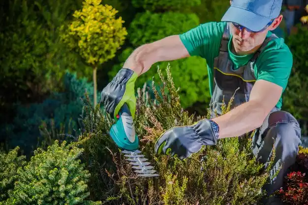landscaping services Sorrento